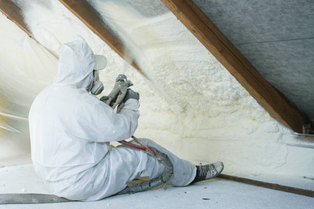 Best Spray Foam Insulation in USA